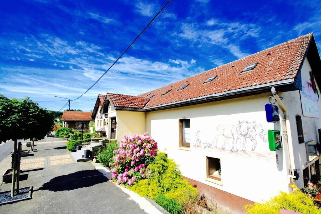 Appartement Am Hohenbusch Burg Reuland Exterior foto